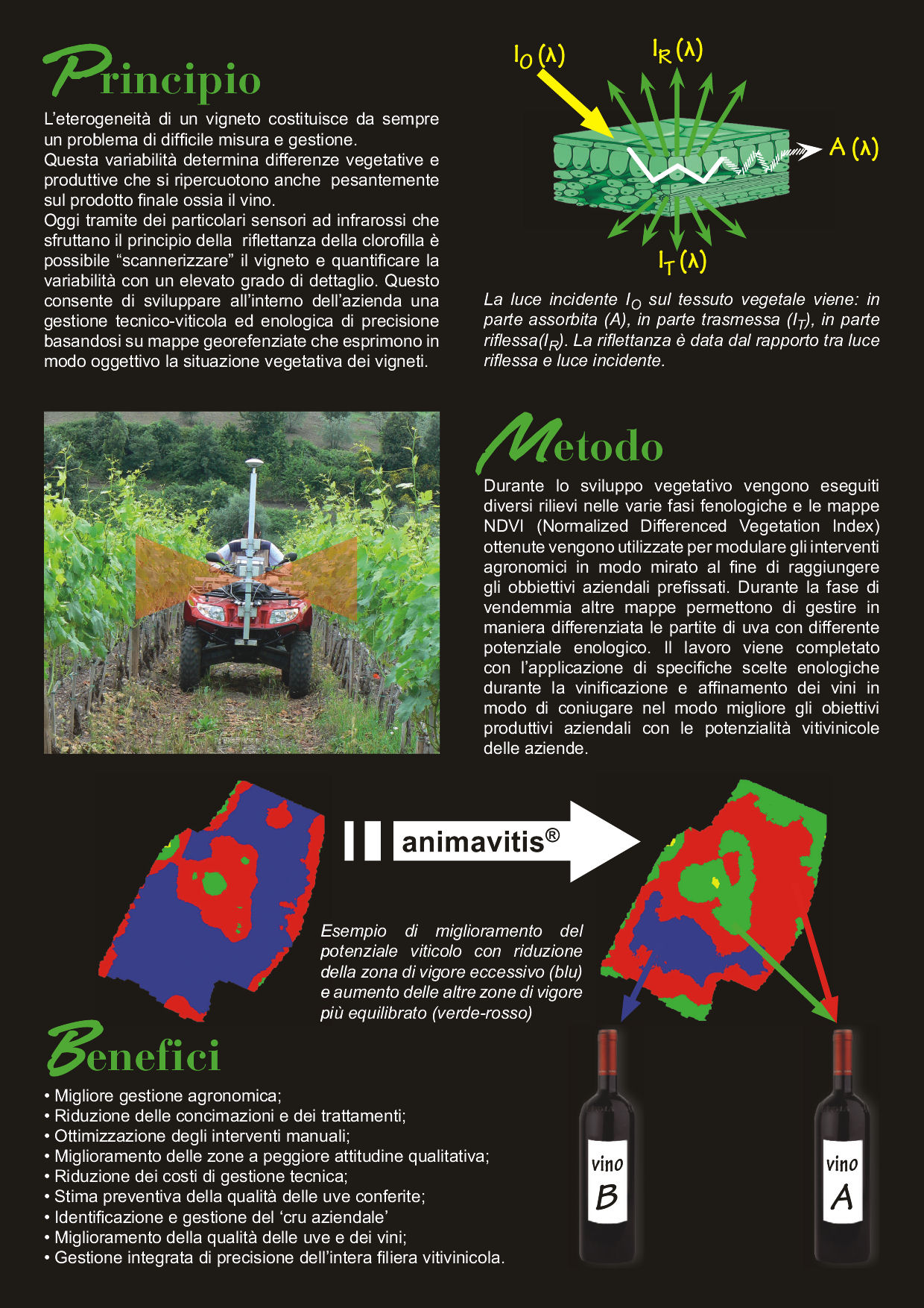 Animavitis